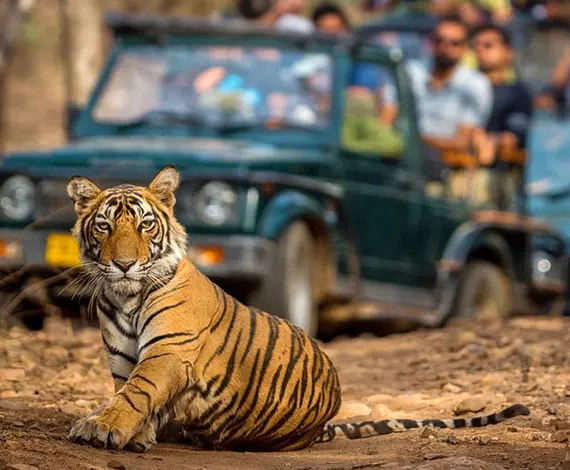 GLIMPSE OF  KASHMIR VALLEY